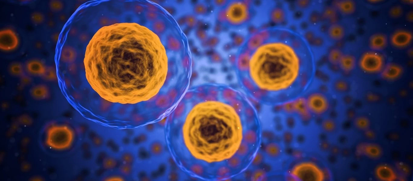 ΗΠΑ: Πρωτοποριακή έρευνα ίσως οδηγήσει στην θεραπεία για τον κορωνοϊό - Η απάντηση στις πρωτεΐνες των κυττάρων